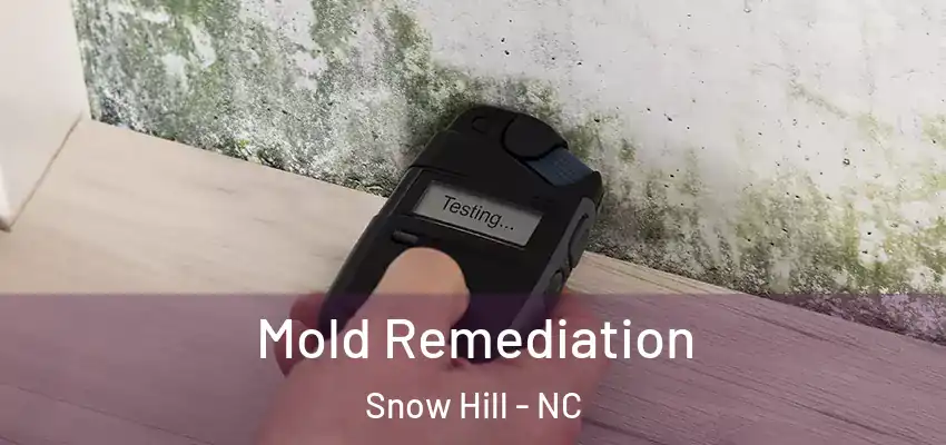 Mold Remediation Snow Hill - NC