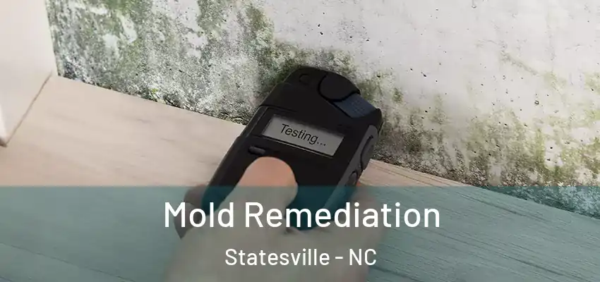 Mold Remediation Statesville - NC