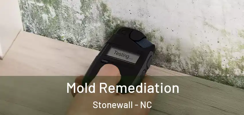  Mold Remediation Stonewall - NC