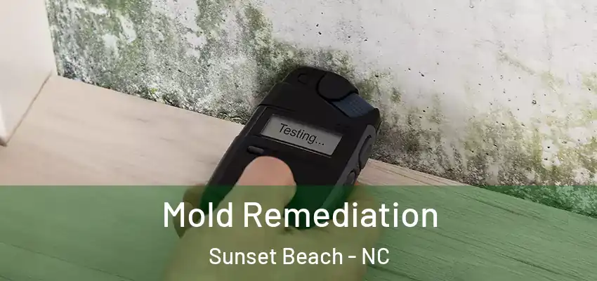 Mold Remediation Sunset Beach - NC