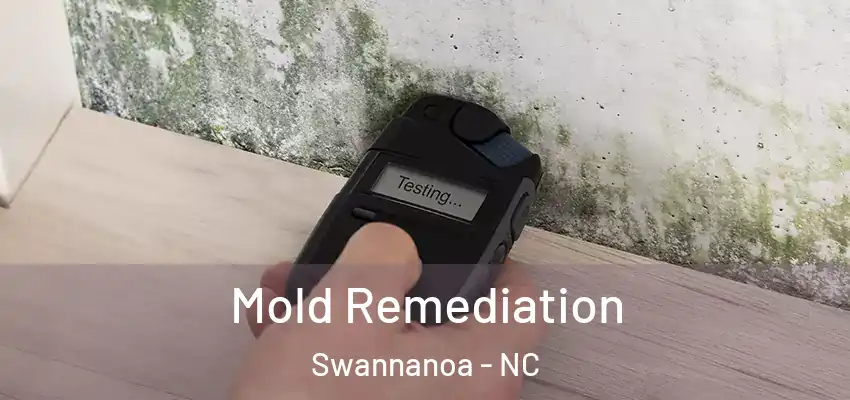  Mold Remediation Swannanoa - NC