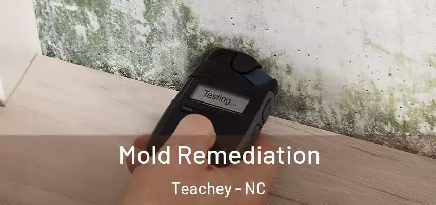 Mold Remediation Teachey - NC