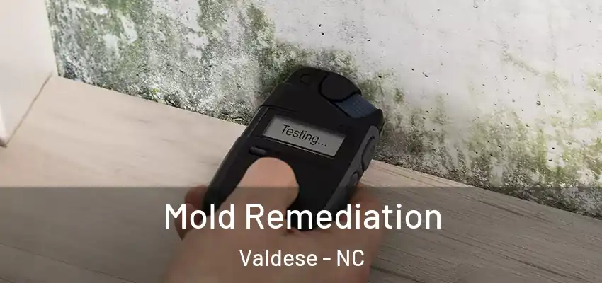  Mold Remediation Valdese - NC