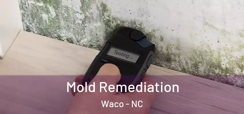  Mold Remediation Waco - NC