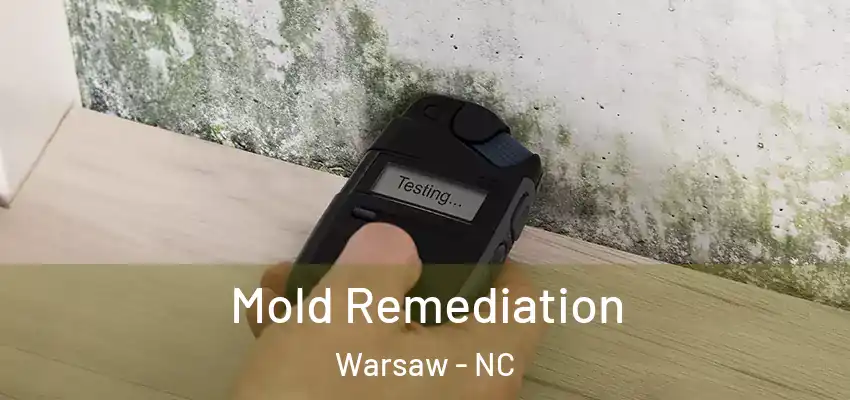  Mold Remediation Warsaw - NC