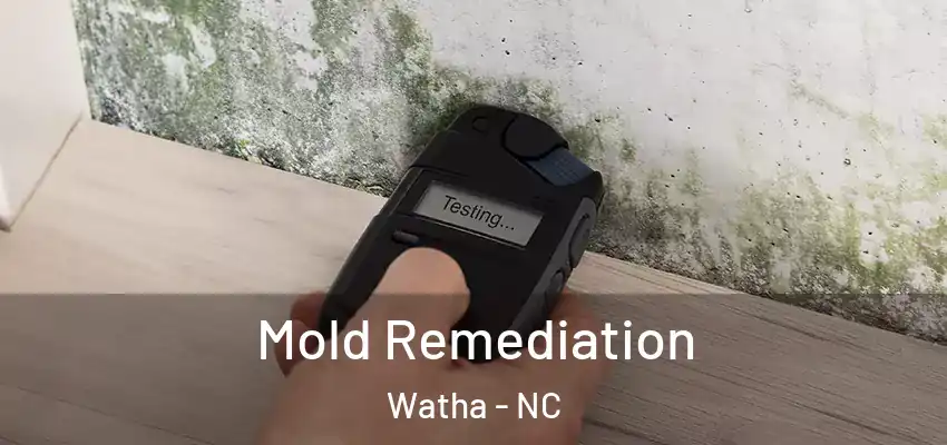  Mold Remediation Watha - NC