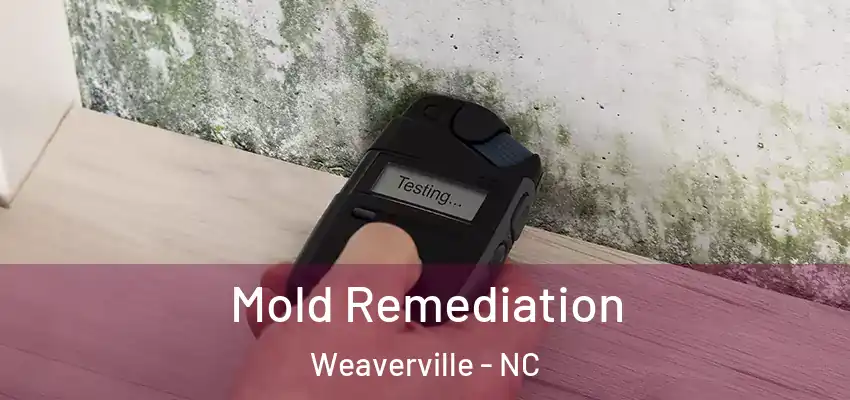 Mold Remediation Weaverville - NC
