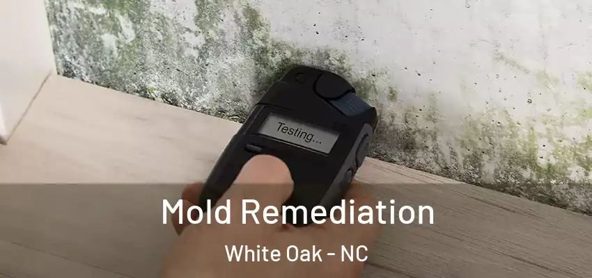 Mold Remediation White Oak - NC