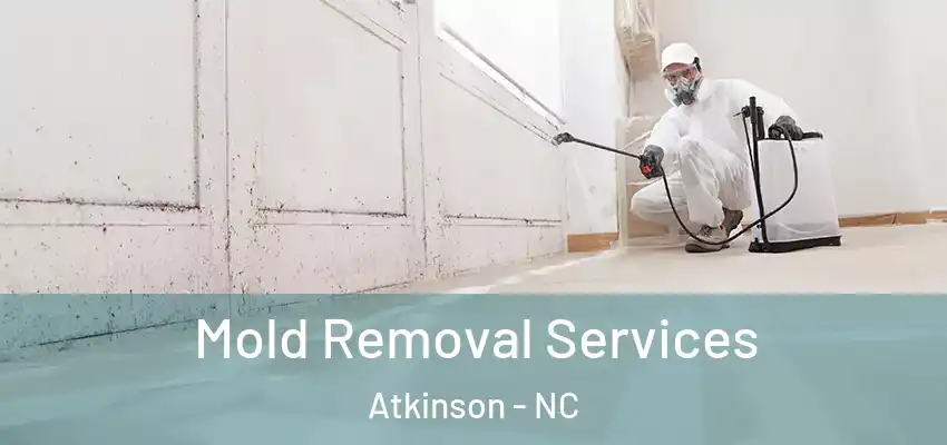 Mold Removal Services Atkinson - NC
