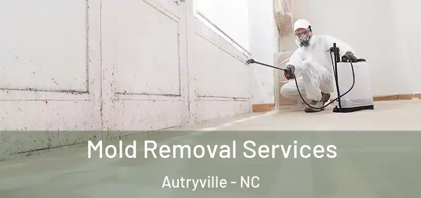  Mold Removal Services Autryville - NC