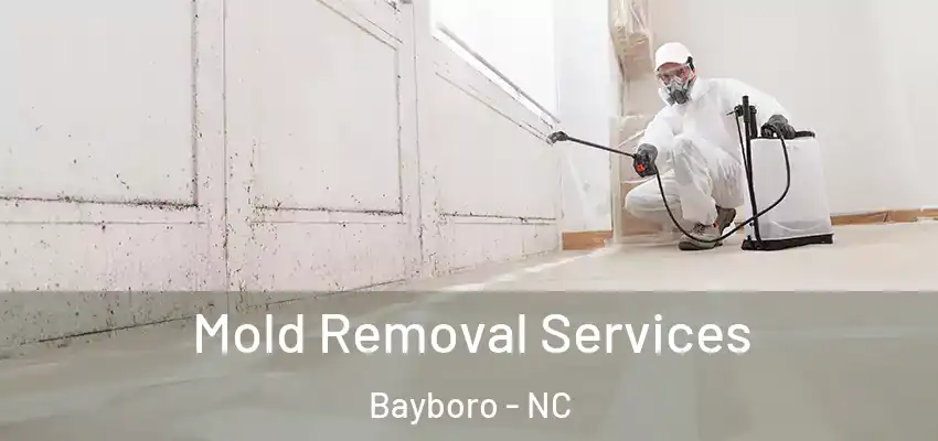  Mold Removal Services Bayboro - NC