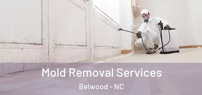 Mold Removal Services Belwood - NC