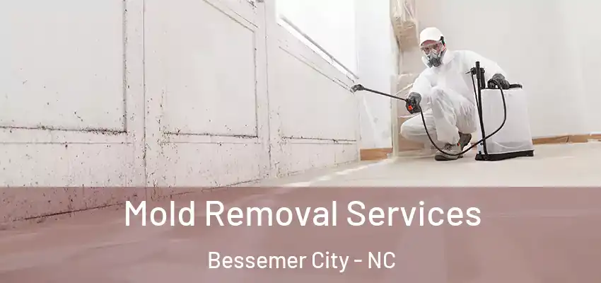  Mold Removal Services Bessemer City - NC