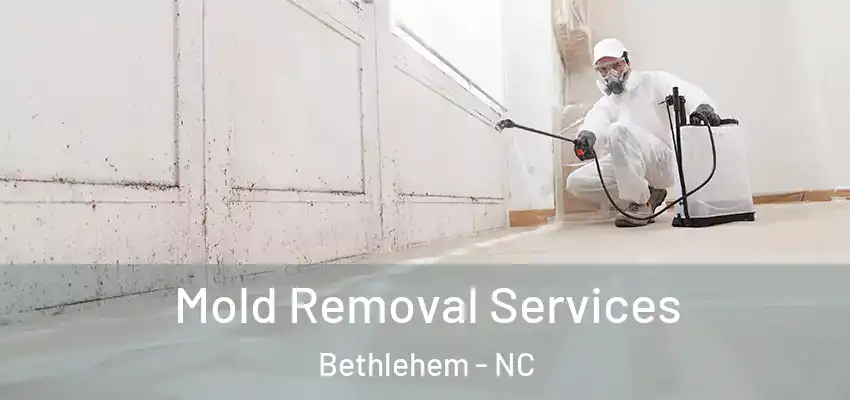  Mold Removal Services Bethlehem - NC
