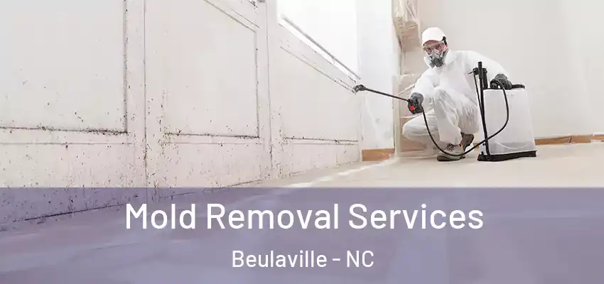  Mold Removal Services Beulaville - NC