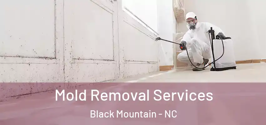 Mold Removal Services Black Mountain - NC