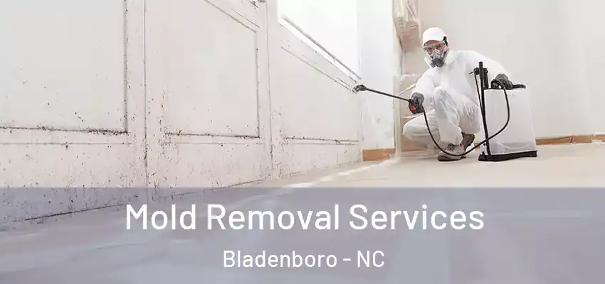  Mold Removal Services Bladenboro - NC