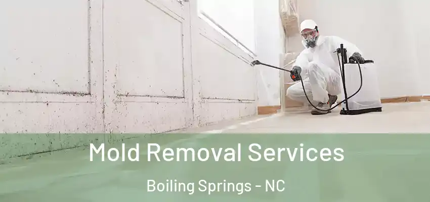  Mold Removal Services Boiling Springs - NC