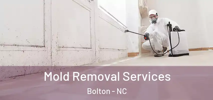 Mold Removal Services Bolton - NC