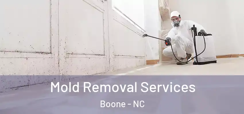  Mold Removal Services Boone - NC
