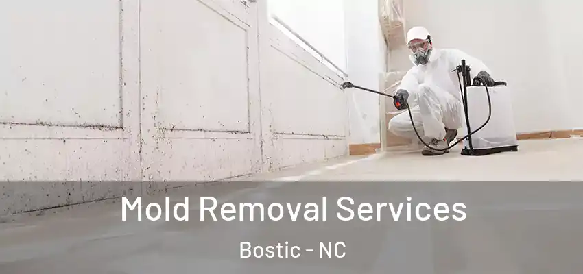 Mold Removal Services Bostic - NC