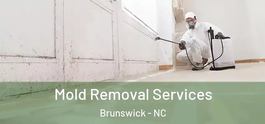  Mold Removal Services Brunswick - NC