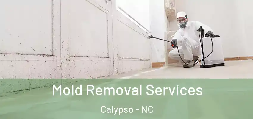  Mold Removal Services Calypso - NC