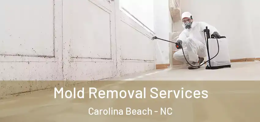 Mold Removal Services Carolina Beach - NC