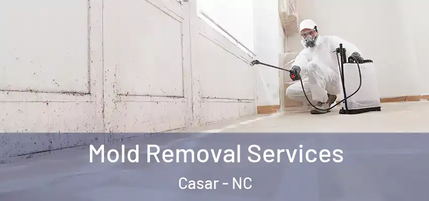 Mold Removal Services Casar - NC