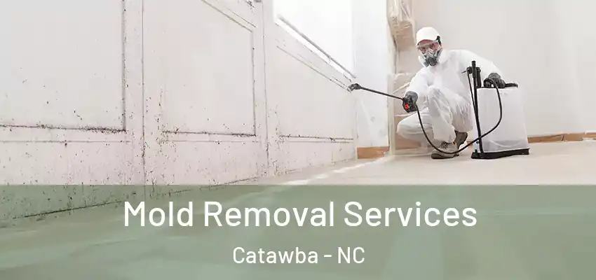  Mold Removal Services Catawba - NC