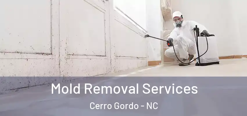  Mold Removal Services Cerro Gordo - NC