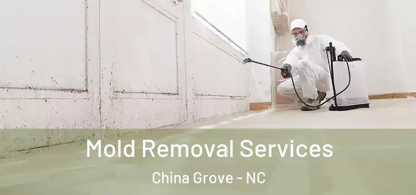 Mold Removal Services China Grove - NC