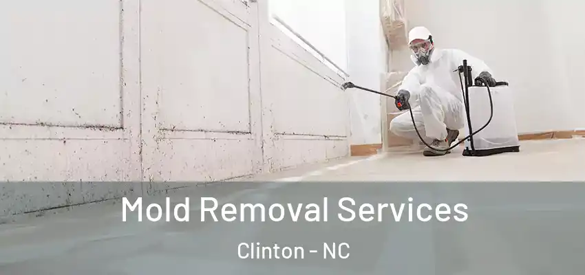  Mold Removal Services Clinton - NC