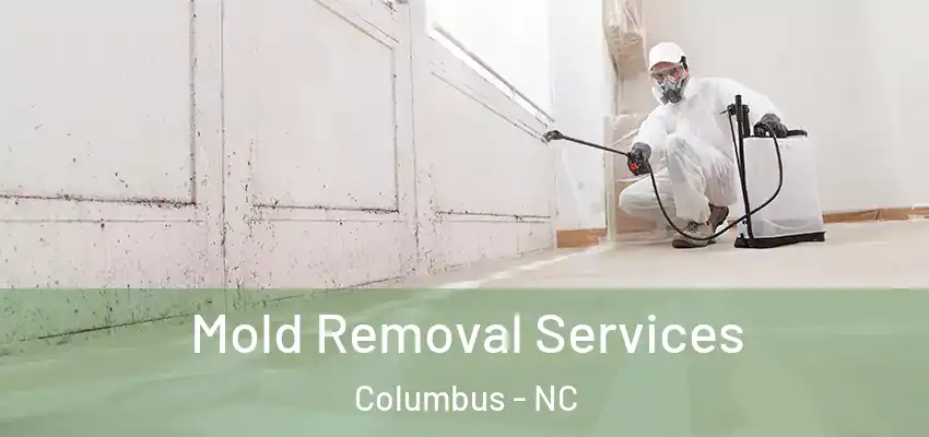  Mold Removal Services Columbus - NC