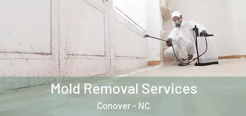 Mold Removal Services Conover - NC