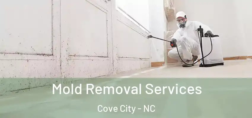  Mold Removal Services Cove City - NC