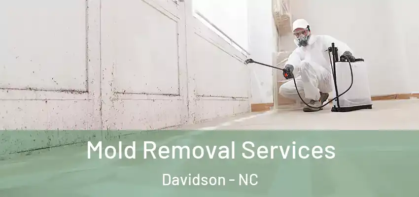 Mold Removal Services Davidson - NC