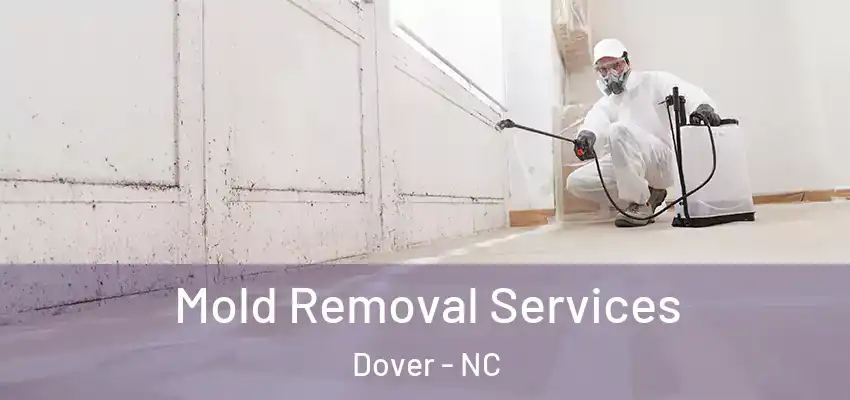  Mold Removal Services Dover - NC