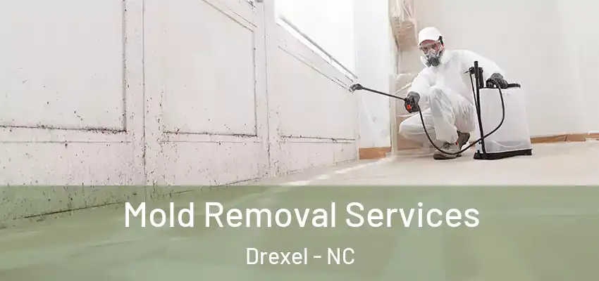 Mold Removal Services Drexel - NC