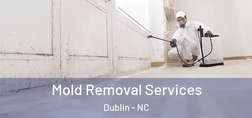 Mold Removal Services Dublin - NC