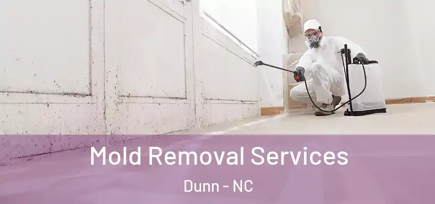  Mold Removal Services Dunn - NC