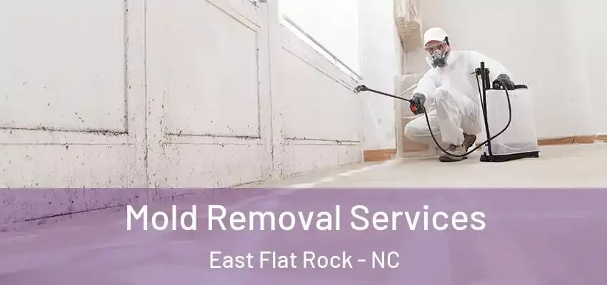 Mold Removal Services East Flat Rock - NC