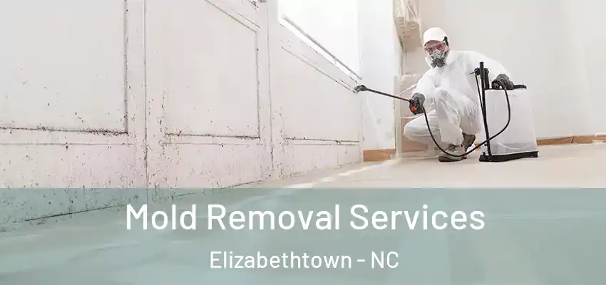 Mold Removal Services Elizabethtown - NC