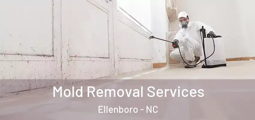  Mold Removal Services Ellenboro - NC
