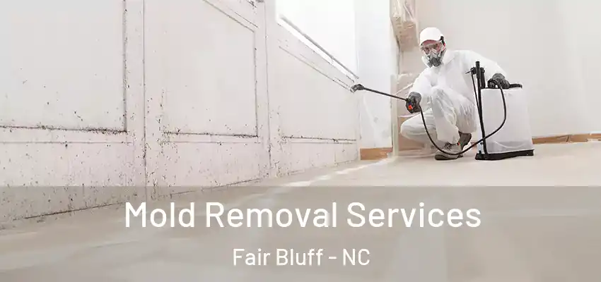 Mold Removal Services Fair Bluff - NC