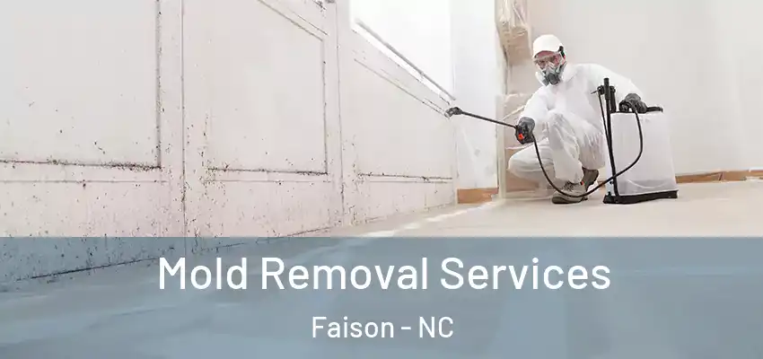  Mold Removal Services Faison - NC