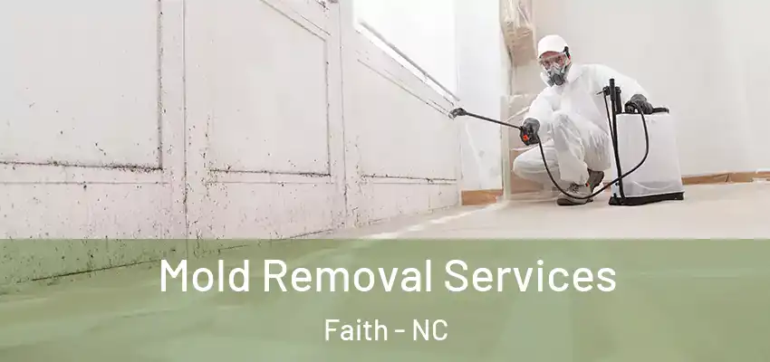 Mold Removal Services Faith - NC