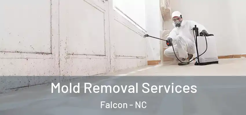  Mold Removal Services Falcon - NC