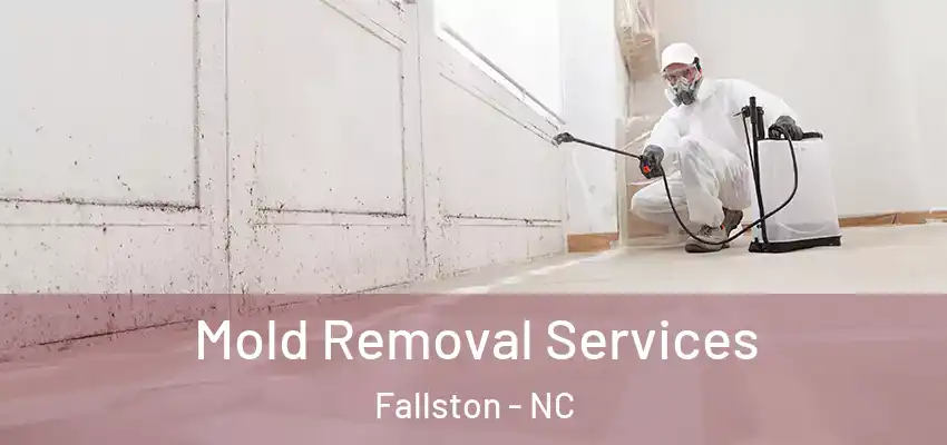  Mold Removal Services Fallston - NC
