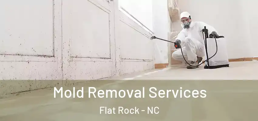 Mold Removal Services Flat Rock - NC